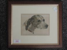 A print, Head of pointer, 11 x 15cm, plus frame and glazed