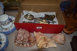 Three natural history related sea shells and a small box of cutlery