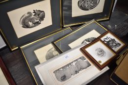 A selection of animal themed black and white photographs