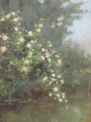 An oil painting, lily pond and wild roses, 24 x 15cm, plus frame and glazed
