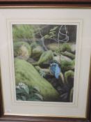 A watercolour, Michael Demain, Kingfisher, signed, 40 x 30cm, plus frame and glazed