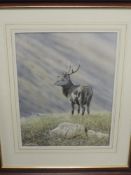 A watercolour, Michael Demain, Heir to the Throne, signed, 40 x 30cm, plus frame and glazed