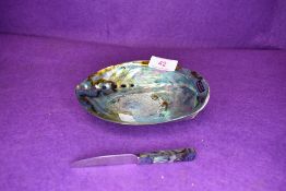 A fiordland paua sea shell with small knife having matching handle