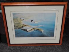 A framed limited edition print after Robert Taylor, Concorde Formation, 288/850 signed by three