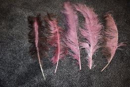 Five long antique ostrich feathers in dye shades of pink.