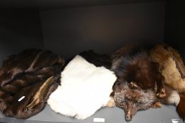A shelf full of vintage furs amongst which are stoles and a fox fur wrap with head.