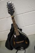 A modern TNA teardrop mandolin, model M-01-LB-03