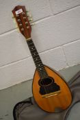 A traditional bowl back mandolin in the neopolitan style , unlabelled, in vintage vinyl case