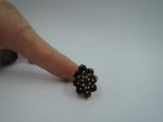 An oval garnet triple cluster dress ring having a raised basket mount on a 9ct gold loop, size O &