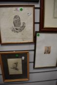 Four prints, inc Ltd Ed, Tawny Owl, 14 x 10cm, each plus frame and glazed