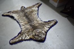 A taxidermy American bobcat.