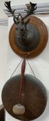 A Stags head wall mounted gong
