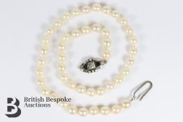 Fresh Water Pearl Necklace