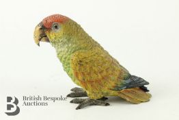 Cold Cast Bronze of Parrot