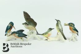 Karl Ens Volkstedt Porcelain Birds