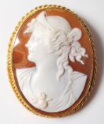 LARGE ANTIQUE 9CT GOLD AND CONCH SHELL CAMEO BROOCH