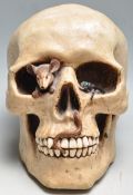 RETRO VINTAGE LATE 20TH CENTURY RESIN HUMAN SKULL MONEY BOX