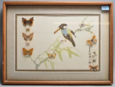 TAXIDERMY AND NATURAL HISTORY INTEREST JAPANESE PRINT WITH NATURAL BUTTERFLY