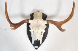 LATE 20TH CENTURY MOUNTED SWEDISH ELK SKULL