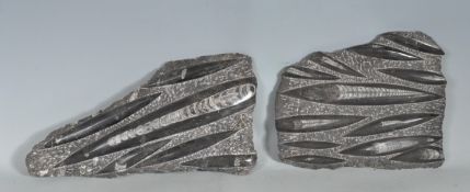 TWO ORTHOCERAS FOSSIL SPECIMENS