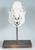 MOUNTED CALF SKULL ON PLINTH