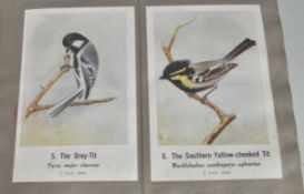 COMMON INDIAN BIRDS - BOMBAY NATURAL HISTORY SOCIETY BOOK