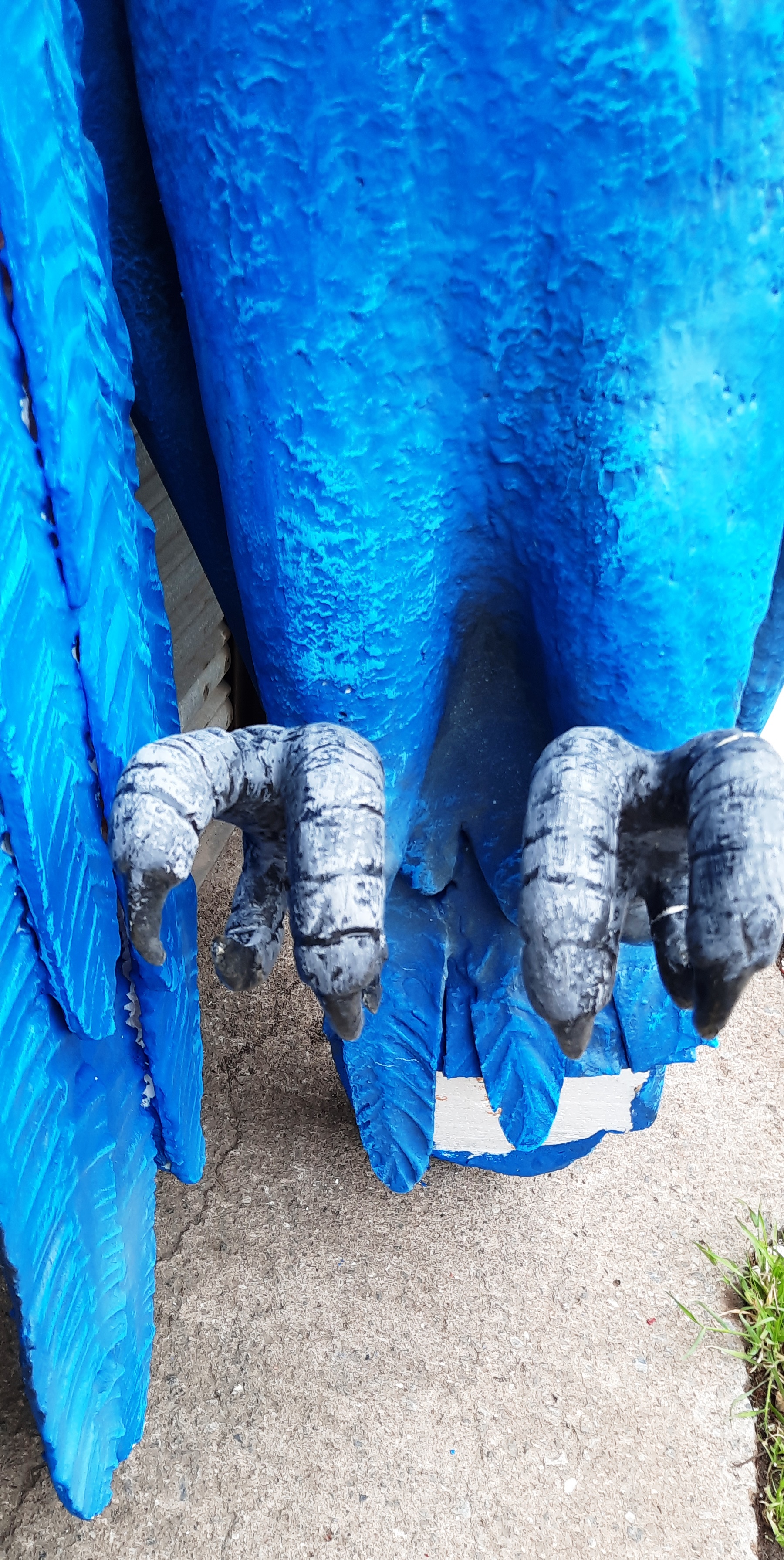 MONTY PYTHON THEMED ' DEAD PARROT SKETCH ' OVERSIZE PROP REPLICA - Image 7 of 9