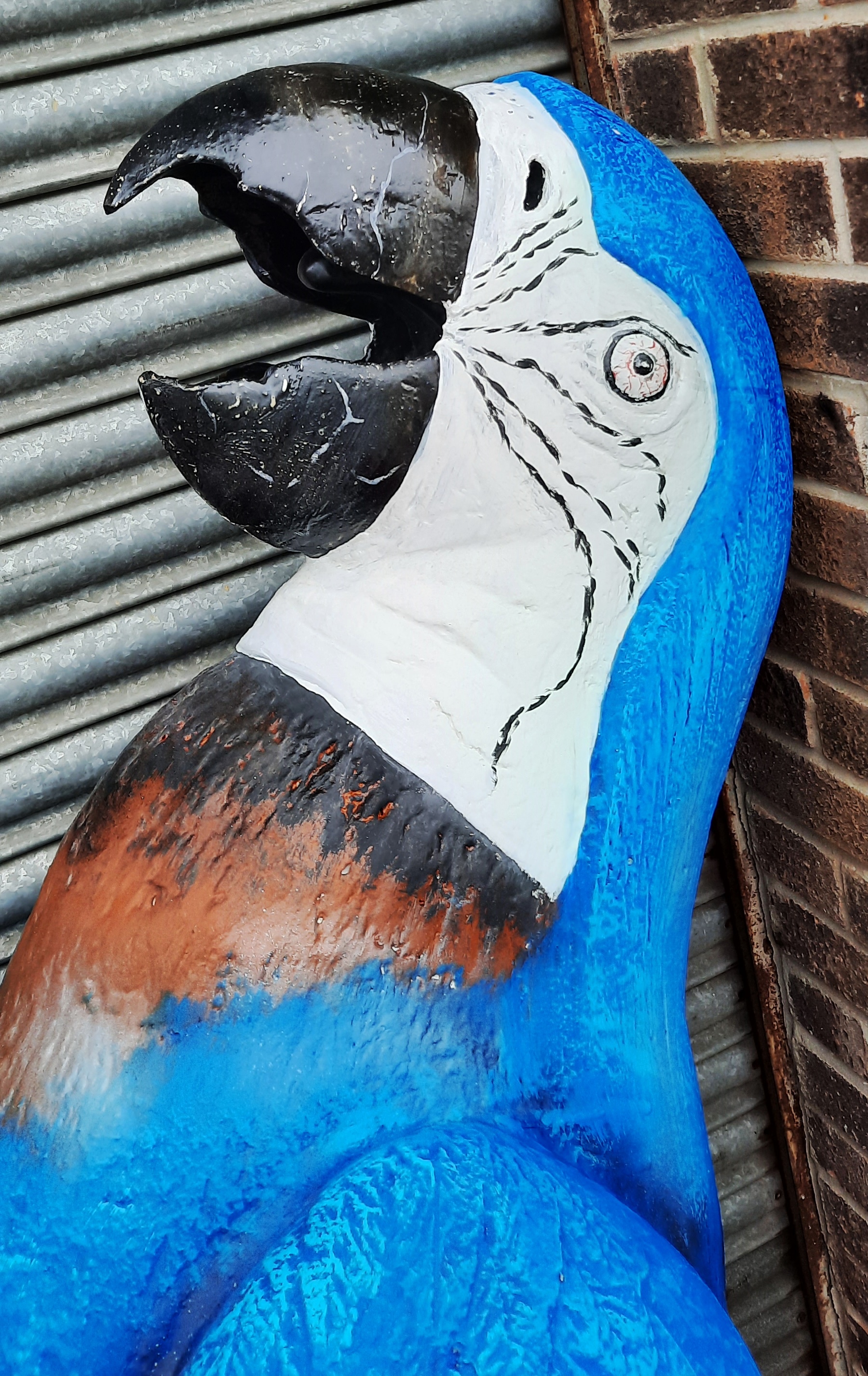MONTY PYTHON THEMED ' DEAD PARROT SKETCH ' OVERSIZE PROP REPLICA - Image 2 of 9