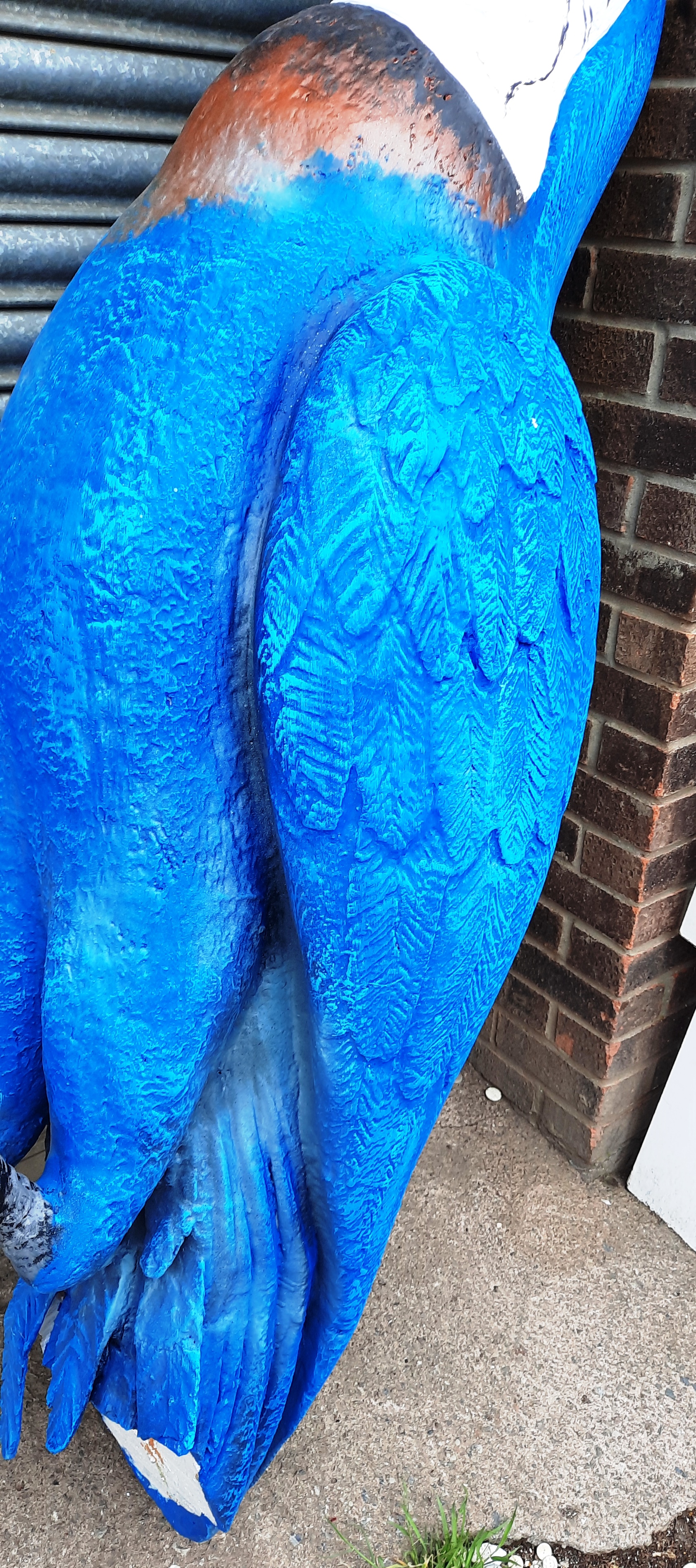 MONTY PYTHON THEMED ' DEAD PARROT SKETCH ' OVERSIZE PROP REPLICA - Image 3 of 9