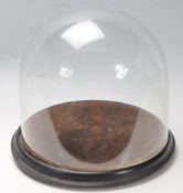 ANTIQUE 19TH CENTURY VICTORIAN GLASS SPECIMEN DOME