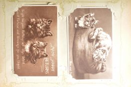 COLLECTION OF 20TH CENTURY CAT’S POSTCARDS