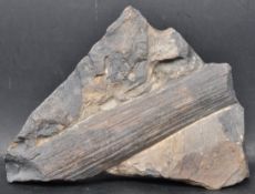 OF GEOLOGICAL INTEREST - PREHISTORIC SPECIMEN OF PETRIFIED WOOD