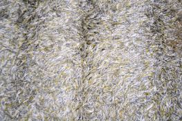 KASTHALL SWEDEN FOGG 10 FLOOR CARPET RUG - ULLBERG