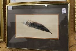 A study of a feather, watercolour, initialled.