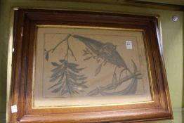 Botanical subjects, two engravings.