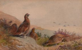 Archibald Thorburn (1860-1935) British. 'Grouse in a Highland Landscape', Watercolour & Pencil,