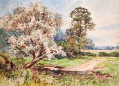 English school (19th/20th century) a scene of ducks in a pond with hills in the distance,