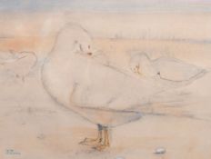 K. Mackie (20th Century), A study of white ducks preening their feathers, watercolour, 10