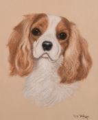 L. W. Helyes (20th century) British, A study of a spaniel, pastel, signed, 12