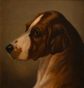 John Alfred Wheeler (1821-1903) British, a head study of a dog, oil on board, 8.5