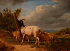 19th century school, goats and sheep in a farmland setting, oil on card, indistinctly signed and