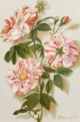 Yulya Novojilova, Russian, 'Camellias', signed oil on canvas, 11.5