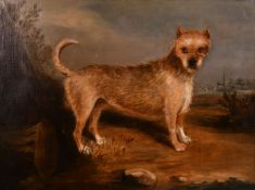 19th century school, scene of a terrier in a landscape with buildings beyond, 21.5