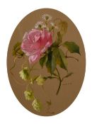 Maria Teresa Hegg (1829-1911) Swiss. A Still Life Study of a Rose, Watercolour and Bodycolour,