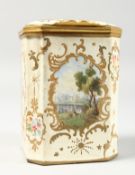 A 19TH CENTURY BILSTON ENAMEL TEA CADDY OR CASKET, with hinged cover, painted with panels of