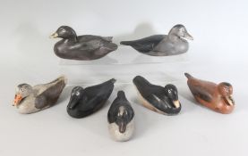SEVEN PAINTED CARVED WOOD DECOY DUCKS.