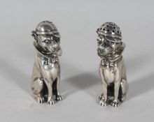 A PAIR OF CAST DOG SALT AND PEPPERS.