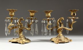A GOOD PAIR OF ORMOLU TWO BRANCH LIGHTS with prism drops and acanthus mounts. 8ins high.