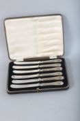 A SET OF SIX SILVER CASED BUTTER KNIVES. Sheffield 1901.