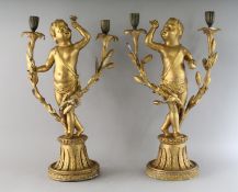 A PAIR OF CARVED AND GILDED CHERUB CANDLESTICKS with two branches, on circular bases. 20ins high.